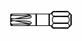 Torx Bit TX 15 der Antrieb für alle Spanplattenschrauben Torx gelb verzinkt 3,5 mm Teilgewinde auch für Torx Vollgewinde geeignet